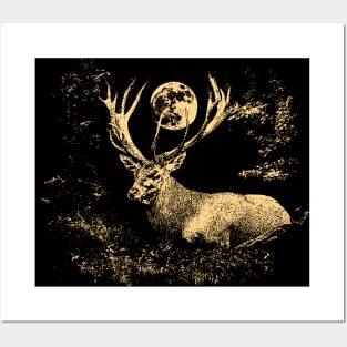 Red deer in the evening forest Posters and Art